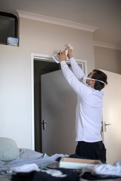 Best Mold Prevention Services  in Bayou Blue, LA