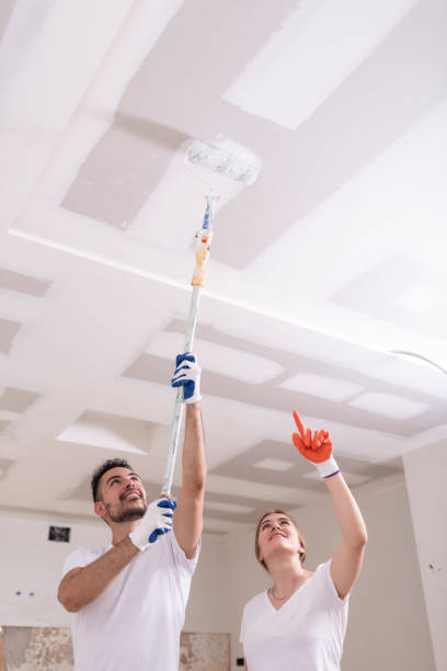 Best Water Damage & Mold Remediation  in Bayou Blue, LA