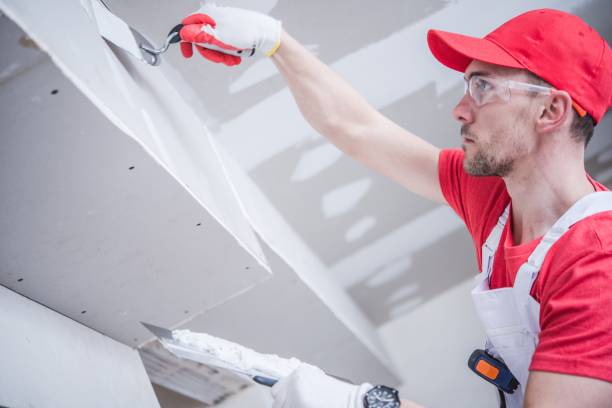 Best Commercial Mold Inspection  in Bayou Blue, LA